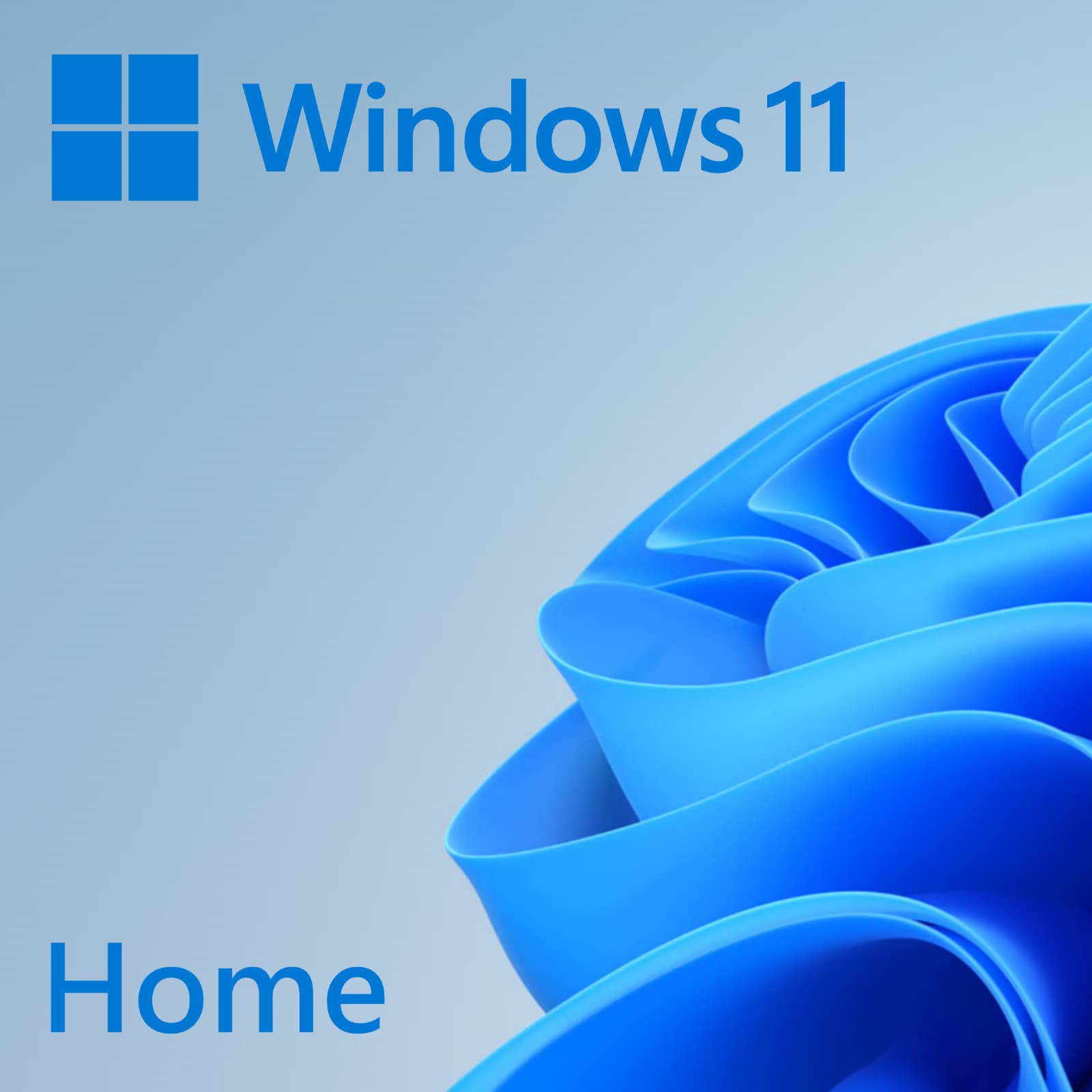 Windows Home 11 32-bit/64-bit All Lng PK Lic Online DwnLd NR 1-Desktop 32bit or 64bit