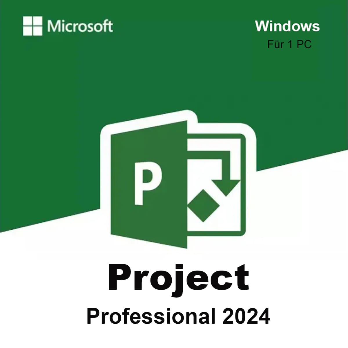 Project Professional 2024