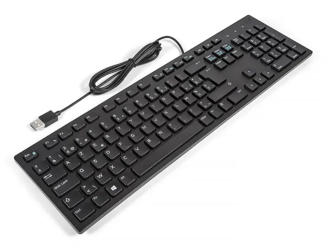 DELL KB216USB Cord Kb