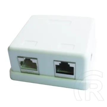Gembird Wall outlet NCAC-FS-SMB2 FTP Wall outlet 2port sheilded