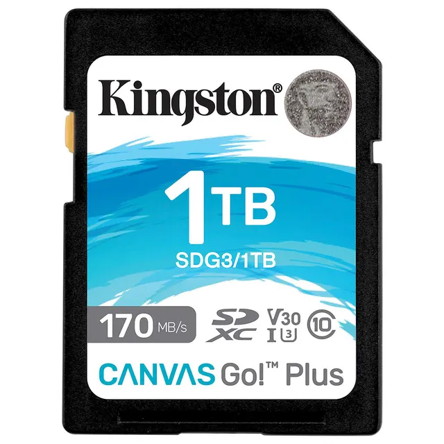 Kingston SDG3 1Tb (U3 UHS-I V30) SD/XC High Speed