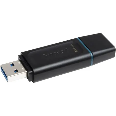 Kingston DTXG2 64GB