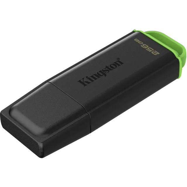 Kingston DTXG2 256GB