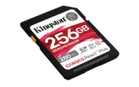 Kingston SDR2V6/256GB