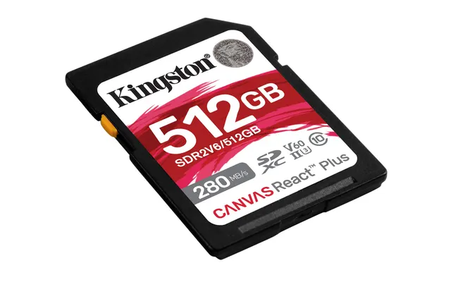 Kingston SDR2V6/512GB 512GB