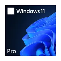 Windows 11 Pro 64Bit Eng Intl 1pk DSP OEI DVD